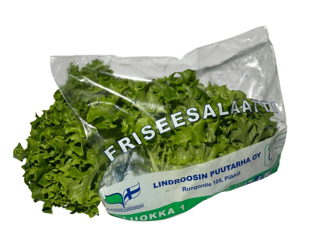 Friseesalaatti pussissa ja ilman pussia.