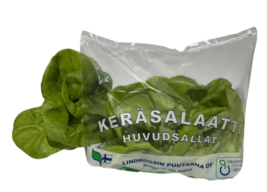 Keräsalaatti pussissa ja ilman pussia.