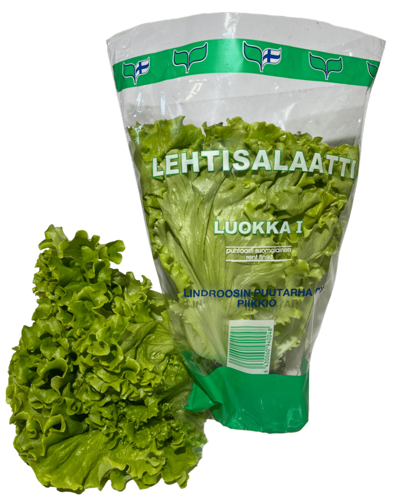 Lehtisalaattiruukku pussissa