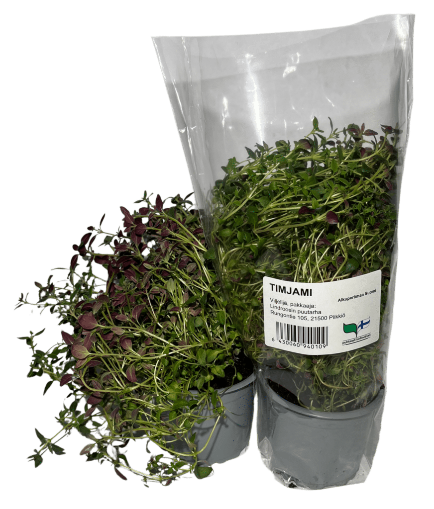 Kuvassa on timjami pussissa ja ilman pussia.
