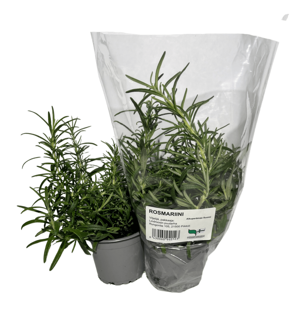 Rosmariini pussissa ja ilman pussia.