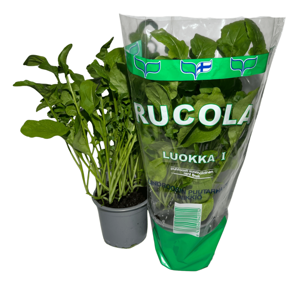 Rucola pussissa ja ilman pussia.