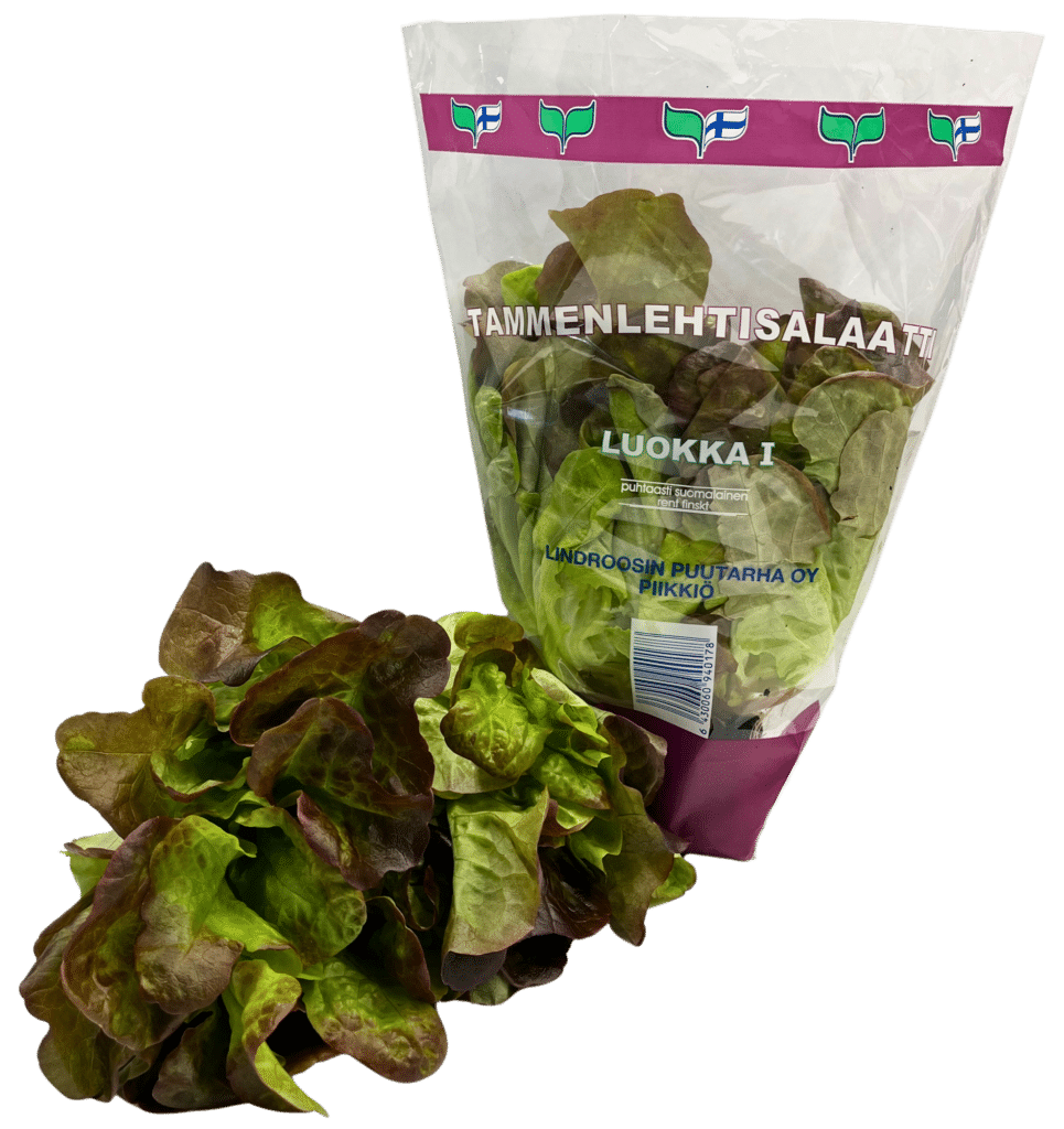 Tammenlehtisalaatti pussissa ja ilman pussia.