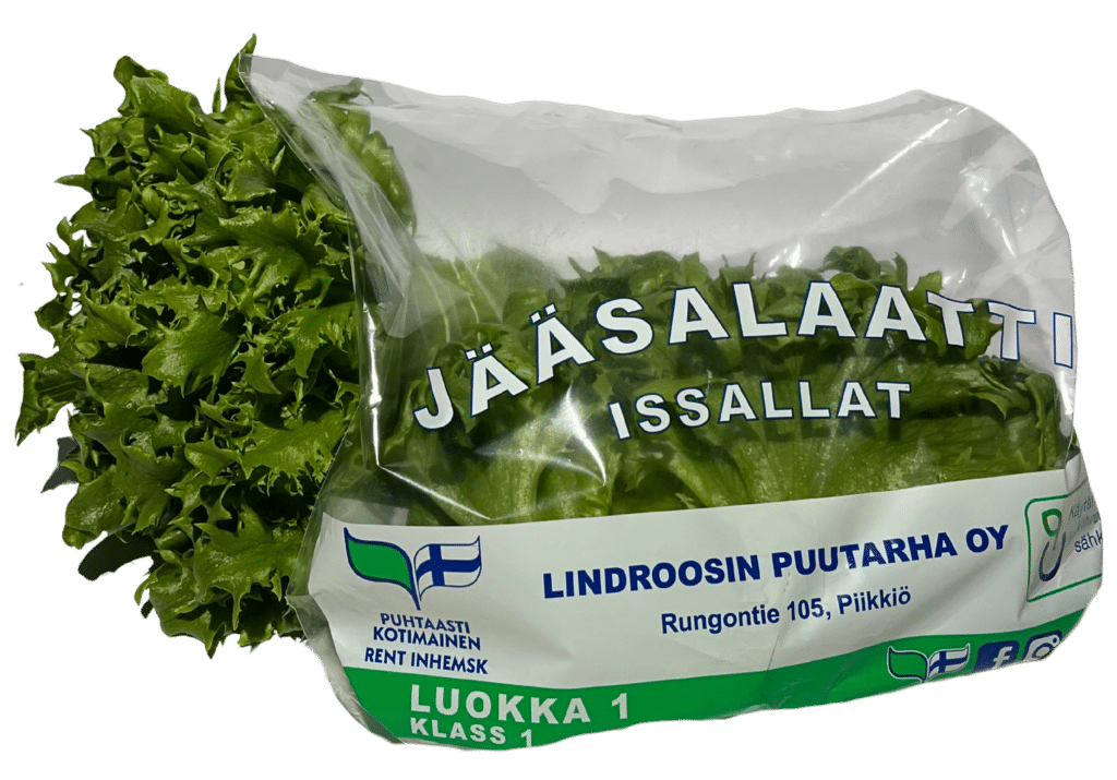 Jääsalaatti pussissa ja ilman pussia.